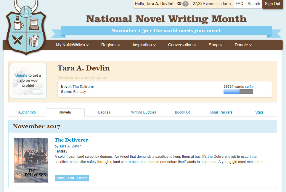 My NaNoWriMo 2017 Experience, or Why I Won’t Do It Again
